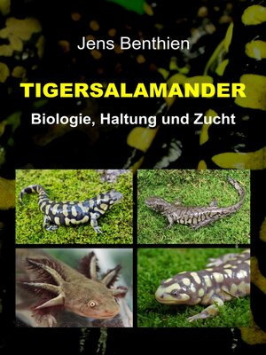cover image of Tigersalamander